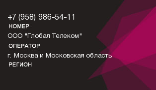 9589865411